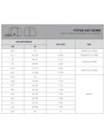 New Era New York Yankees MLB Basic Cap 10011573