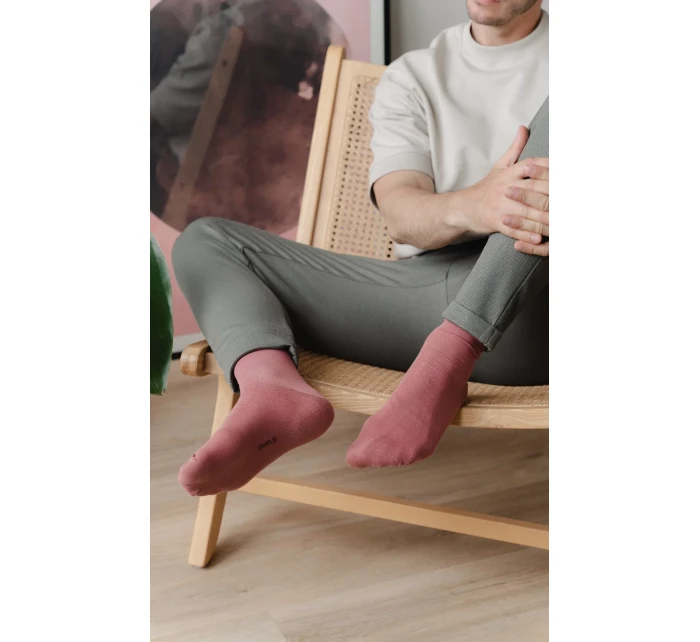 Pánské ponožky  Summer Edition model 18881885 - Steven