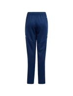 Kalhoty adidas Tiro 24 Training Jr IS1007
