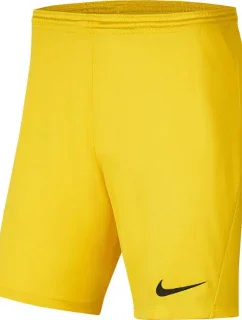 Pánské šortky Dry Park III NB K M model 15976377 719 - NIKE