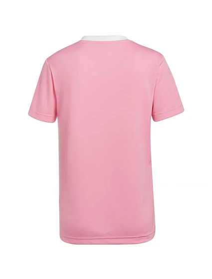 Dámský dres Entrada 22 W model 17104910 - ADIDAS Dámský dres Entrada 22 W model 17104910 - ADIDAS