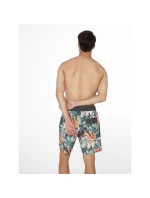 Pánské plážové šortky Protest PRTARYF (P2710621/672)