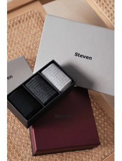 Ponožky model 21320583 Boxy pánské A'3 4146 - Steven