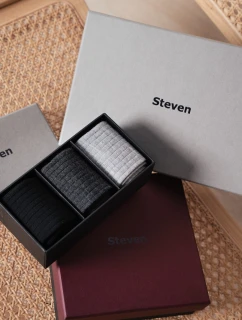 Ponožky model 21320583 Boxy pánské A'3 4146 - Steven