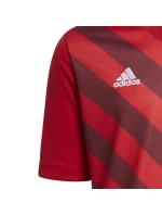 Dětský dres Entrada 22 Graphic Jersey Jr H58983 - Adidas