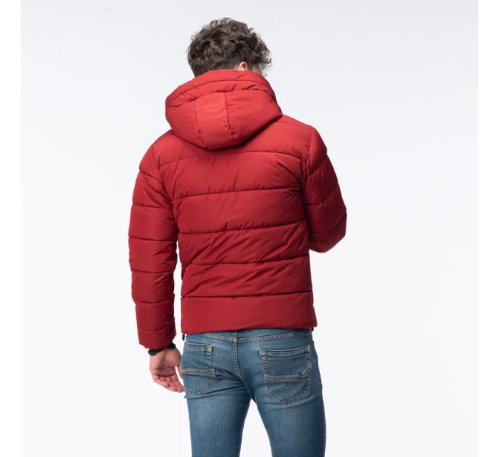 Pánský prošívaný zimní kabát model 21417557 - Iguana