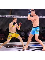 Rukavice pro MMA L/XL – Phantom Red –  | DBX model 22355026 - DBX Bushido