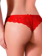 Dámské kalhotky N017