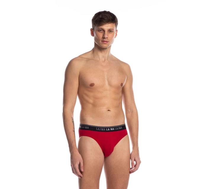 PÁNSKÉ SLIPY STANDARD M-1020SD 3PACK