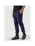 Kalhoty M model 21425440 - 4F Kalhoty M model 21425440 - 4F