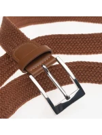 model 21353205 - Iguana