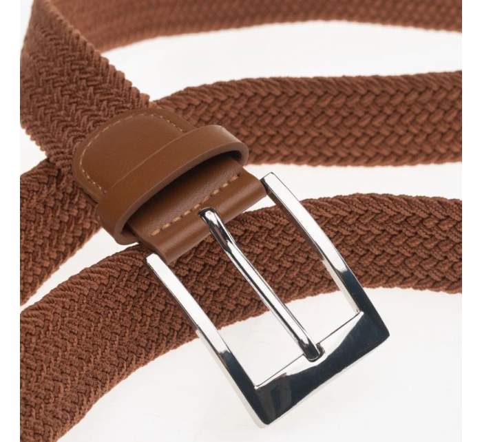 model 21353205 - Iguana