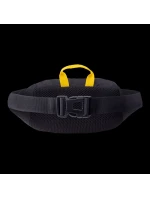 model 21356339 - Iguana