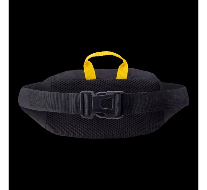 model 21356339 - Iguana