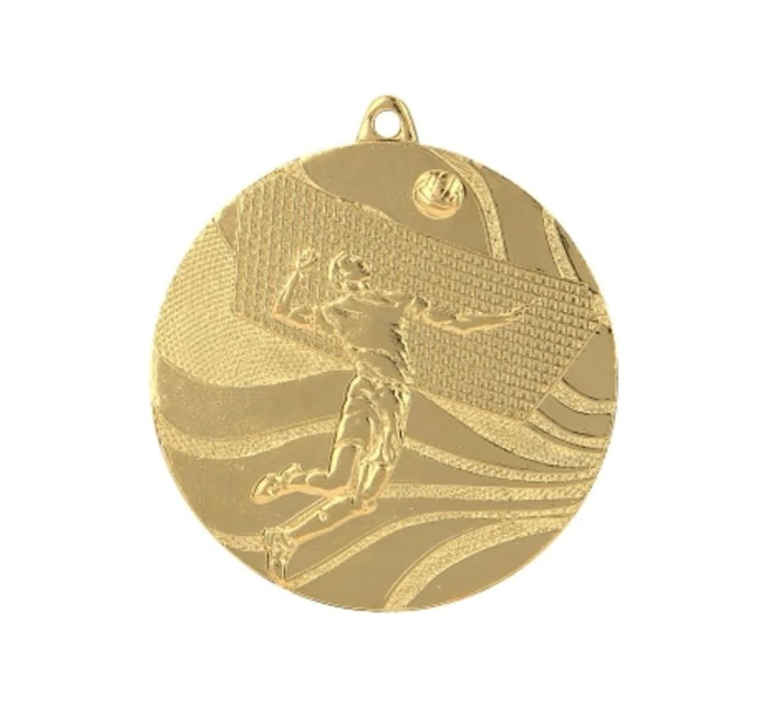 medal model 21829759