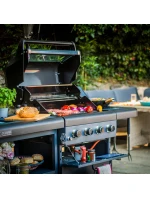 model 21810055 model 21810055