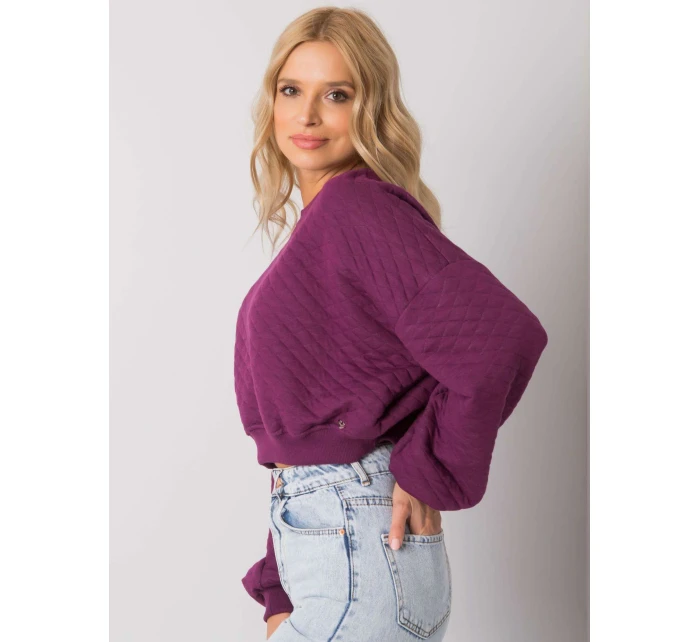 Mikina RV BL 7450.64 tmavě fialová