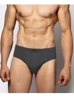 Pánské slipy 3Pack  model 20595728 šedé - Atlantic