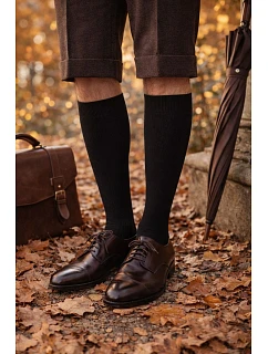 PÁNSKÉ VNITŘNÍ FROTÉ PONOŽKY DO NOHY