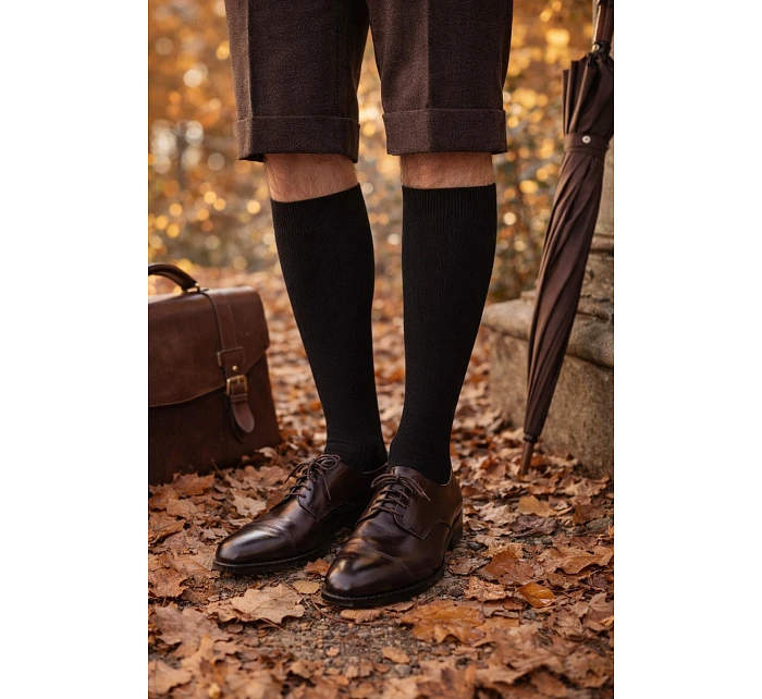 PÁNSKÉ VNITŘNÍ FROTÉ PONOŽKY DO NOHY