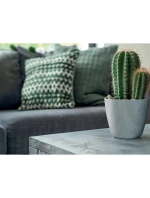 MATE BETON EFFECT POND 14CM ANTHRACITE dětské