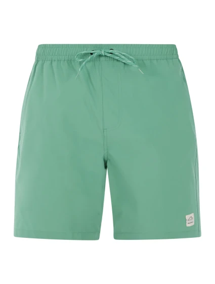 Pánské plážové šortky Protest PRTBAKY