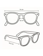 Brýle model 21353330 - Iguana