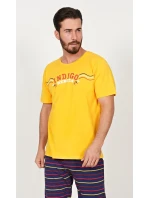 Pánské pyžamo kapri Indigo