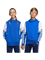 Adidas Squadra 25 Sweat Hoody Jr JD4806 Mikina
