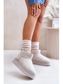 Dámské Sněhule Na Platformě Zateplené Kožíškem Světle Šedé Xamella