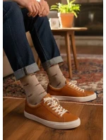 Pánské ponožky model 5790387 - Steven