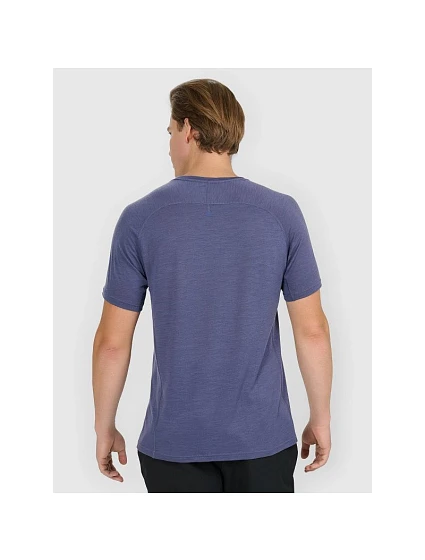 Pánské trekingové tričko z merino vlny model 21816729 - 4F