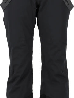 Dámské lyžařské kalhoty model 21428550 - Whistler