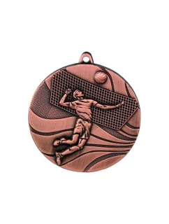 bronzová medaile - volejbal