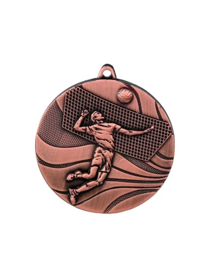 bronzová medaile - volejbal