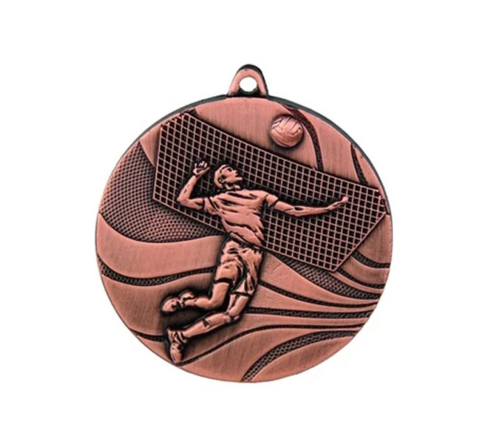 bronzová medaile - volejbal