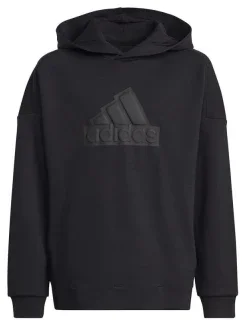 Mikina adidas FI Logo HD Jr HR6301