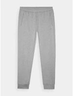 Pánské sportovní rychleschnoucí kalhoty 4F - chladné světle šedé Pánské sportovní rychleschnoucí kalhoty 4F - chladné světle šedé