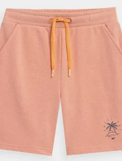 Chlapecké juniorské šortky 4FJSS23TSHOM047 64S - 4F