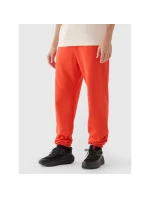 Pánské tepláky typu jogger model 21433039 - 4F Pánské tepláky typu jogger model 21433039 - 4F