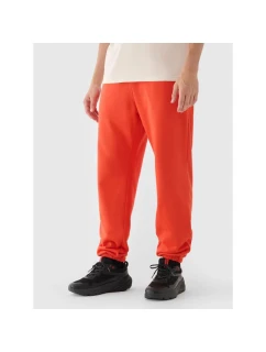 Pánské tepláky typu jogger model 21433039 - 4F