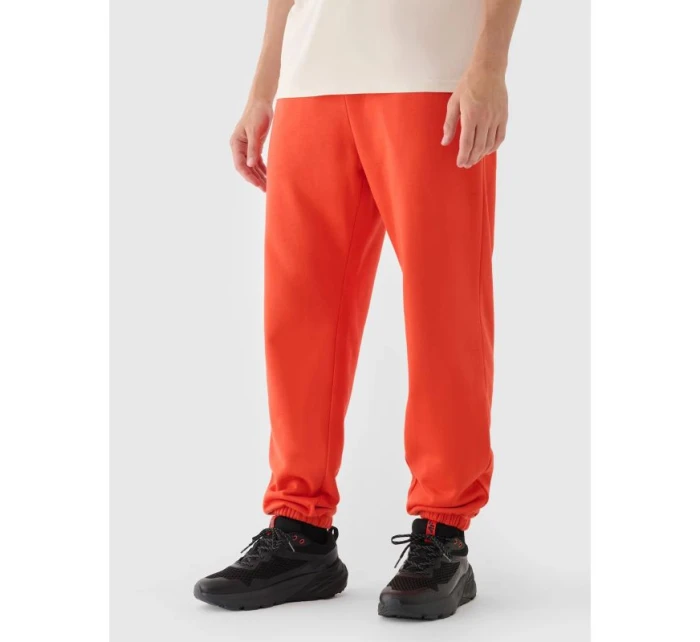 Pánské tepláky typu jogger model 21433039 - 4F Pánské tepláky typu jogger model 21433039 - 4F