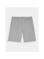 Pánské rychleschnoucí tréninkové šortky model 21432033 - 4F Pánské rychleschnoucí tréninkové šortky model 21432033 - 4F