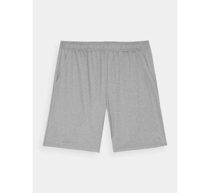 Pánské rychleschnoucí tréninkové šortky model 21432033 - 4F Pánské rychleschnoucí tréninkové šortky model 21432033 - 4F