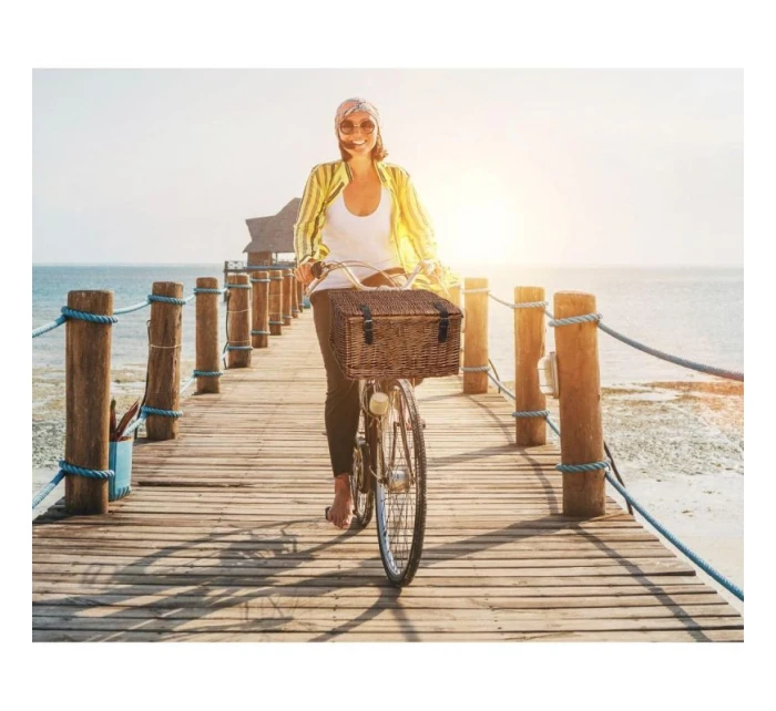 Košík na kolo proutěný přední 45x30x25cm BICYCLE GEAR