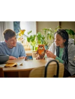 LEGO Star Wars 75430 Ewokova branka