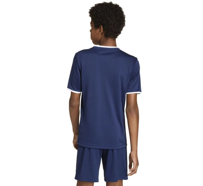 Tričko adidas Entrada 26 JSY JZ2522