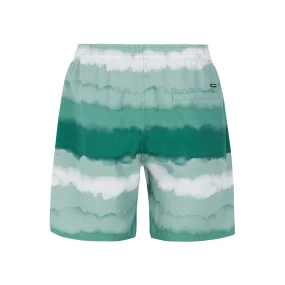 Pánské plážové šortky Protest PRTHAMSEY