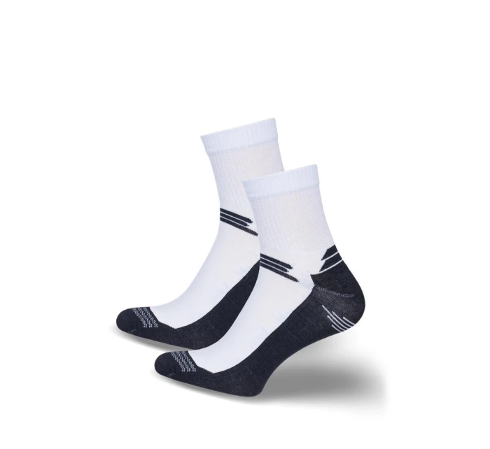 Pánské ponožky ACTIVE 0224.028