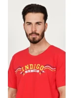 Pánské pyžamo kapri Indigo